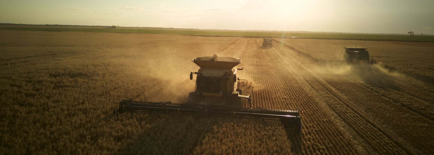 how-are-cheerios-made-farm-to-table-cheerios-canada