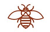 Icône illustrée d'une abeille